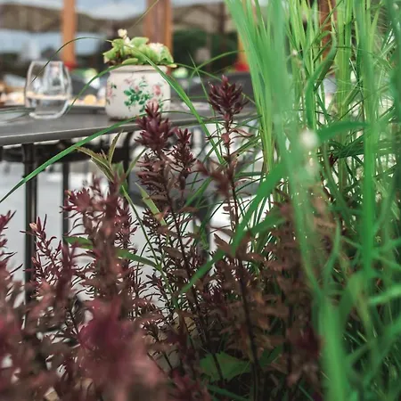 Au Coeur De فندق