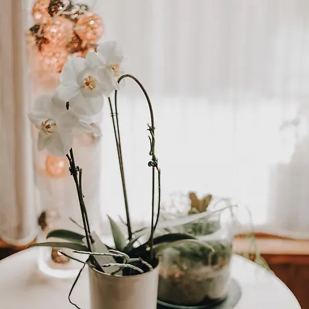 فندق Au Coeur De 3*