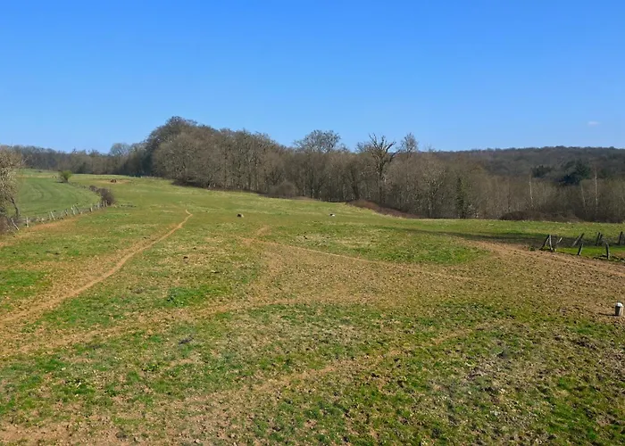 오 쿠에르 드 라퀴진