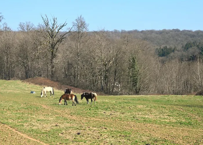 오 쿠에르 드 라퀴진 호텔 플로렌빌