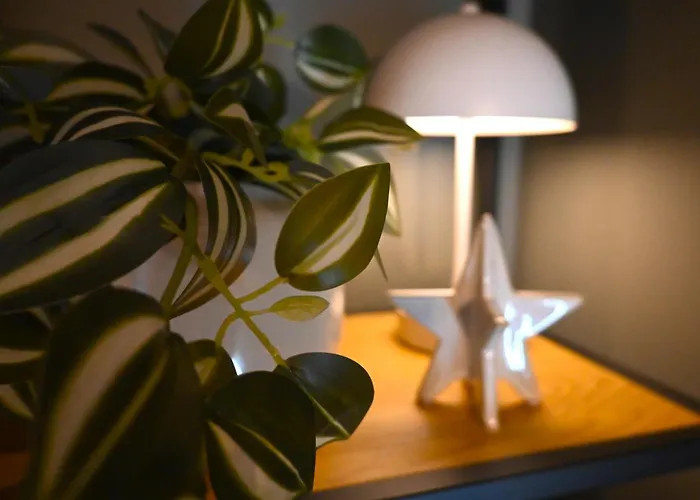 호텔 오 쿠에르 드 라퀴진 3*